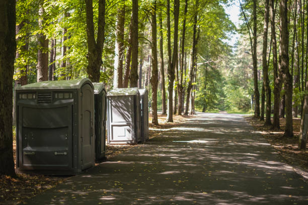 Best Portable bathroom rental  in Audubon, IA