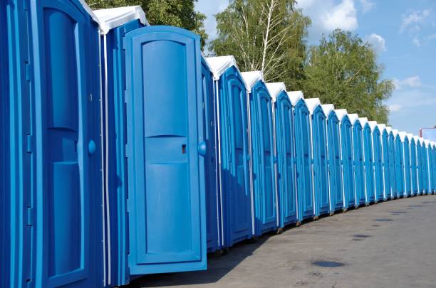 Best Local porta potty services  in Audubon, IA